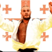 Dojo Mirecurtien