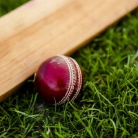 Infinity Sports Turf Box Cricket