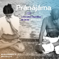 Mini Yoga Shala