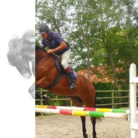 Horse Jump