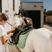 Shedfield Riding School