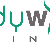 Bodywise Training