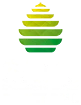SAGC Basket-ball