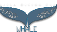 Polish Diving Club
