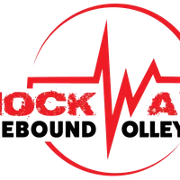Shockwave Rebound Volleyball