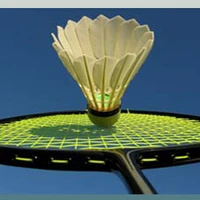 London Badminton Academy
