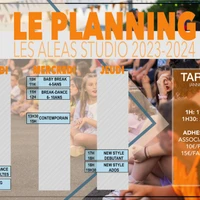 Les Aléas Studio