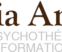 Laetitia Andrieu Psychotherapy Practice Emdr Coaching Formations & Séminaires