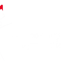 Chinook Rhythmique Gymnastics Club