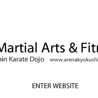 Arena Martial Arts & Fitness Centre