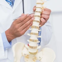 Chiropractic Wellness Centre - North York