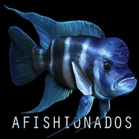 aFISHionados