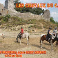 Les Chevaux Du Cantaure