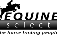 Equestrian advertising and on line tack shop