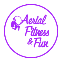 Aerial Fitness and Fun