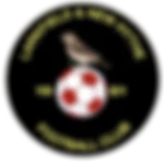 Larkfield & New Hythe Wanderers F.C.