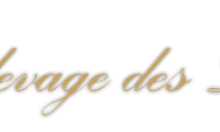 Livestock Des Dieux