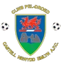 Newcastle Emlyn Football Club