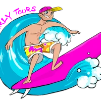 Gnarly Tours Surf School