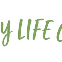 Fly Life Company