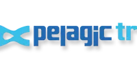 Pelagic Tribe