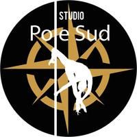 Studio Pole Sud