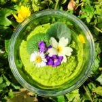 Association Nadiejda Yoga Et Cuisine Végétale