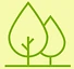 Macc Forest Pilates & Tai Chi