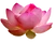 Shanti Spirit Yoga