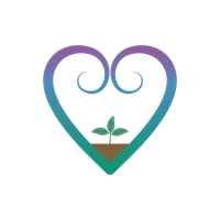 Vision Yoga and Pilates