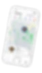 FitFinder
