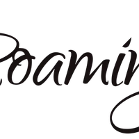 Roaming Zen - Events, Workshops & Coaching