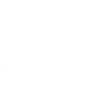 Mind Body Coaching