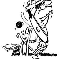 Little Missenden Misfits Cricket Club