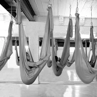 Flight and Flow Aerial Yoga