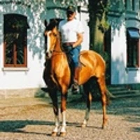 Xenora Horse Empowerment