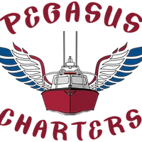 Pegasus Charters Deep Sea and Mackerel Fishing Trips