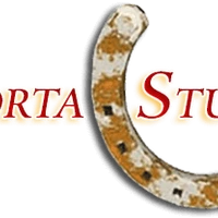 Kortastud