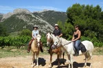 Les Écuries de Vela - Lafare à Cheval