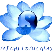 Taiji Dragon Bleu Plouay