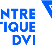 DVi Performance