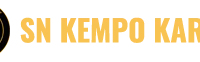 SN KEMPO KARATE