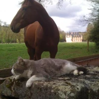Stud Du Val Des Escholiers