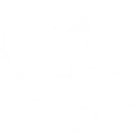 Licorne Boxing