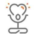 Joga Yoga