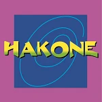 Hakone go- karting