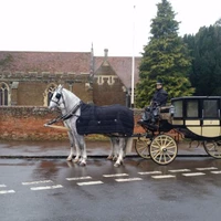 Carriagehire