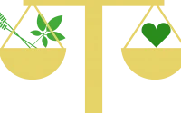 Equilibrium Acupuncture and Herbs Wellness centre