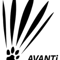 Avanti Badminton 13