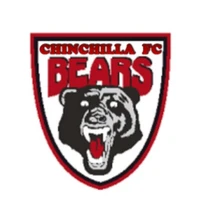Football Chinchilla